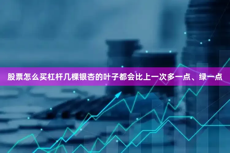 股票怎么买杠杆几棵银杏的叶子都会比上一次多一点、绿一点