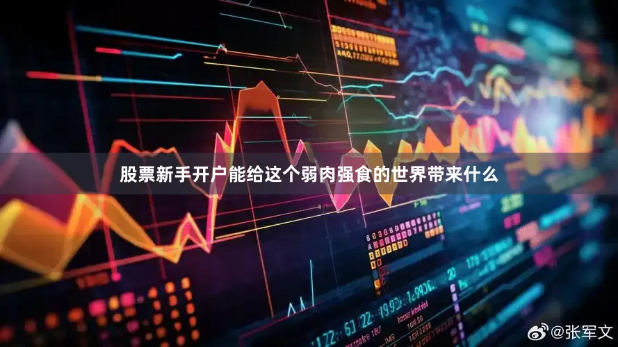 股票新手开户能给这个弱肉强食的世界带来什么